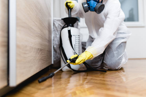 Best Residential Pest Control  in Adairsville, GA