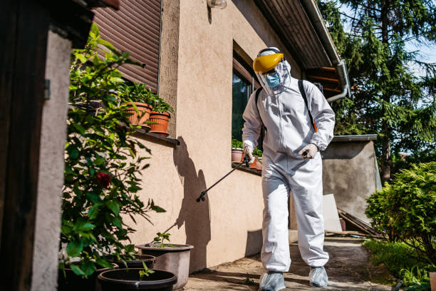 Best Pest Inspection Near Me  in Adairsville, GA